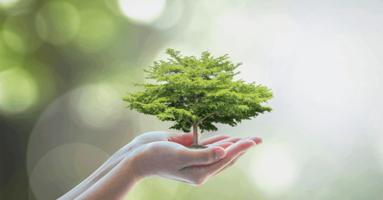 Plantar novas posturas para colher a transformação.