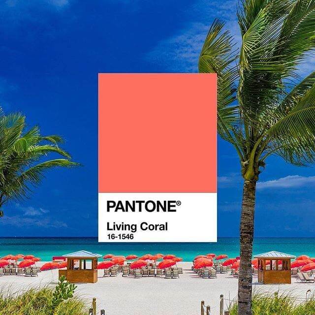Pantone 2019: Living Color, a cor de 2019
